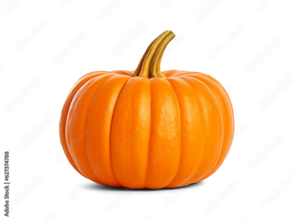 pumkin