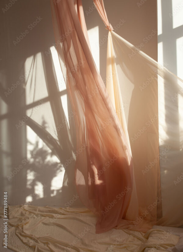 Cloth