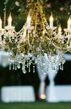 Extravagant Chandelier