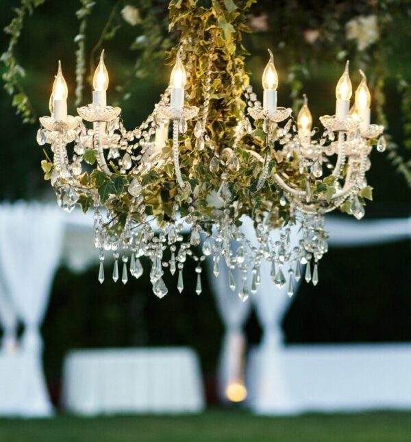 Extravagant Chandelier