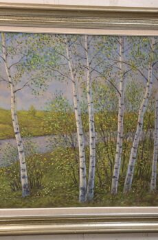 Finnish Spring
